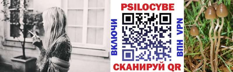 купить наркотик  Собинка  Псилоцибиновые грибы ЛСД 