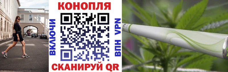 Канабис сатива  Собинка 